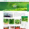 绿色蔬菜水果粮油食品肉类网站模板(带手机端)