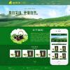 绿色茶叶种植基地类网站模板(带手机端)