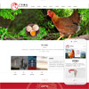 响应式家禽动物饲养农场养殖类网站Pbootcms模板(自适应手机端)