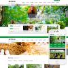 生态环保绿色食品瓜果农业种养基地类网站模板(带手机端)