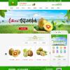 绿色食品蔬菜果蔬鲜果配送类网站模板(带手机端)