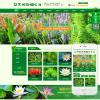 园林景观绿化工程苗木种植类网站模板(带手机端)